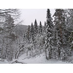 Belokur_Nature_028.jpg
