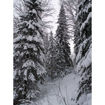 Belokur_Nature_035.jpg
