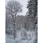 Belokur_Nature_036.jpg