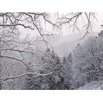Belokur_Nature_038.jpg