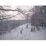 Belokur_Nature_040.jpg
