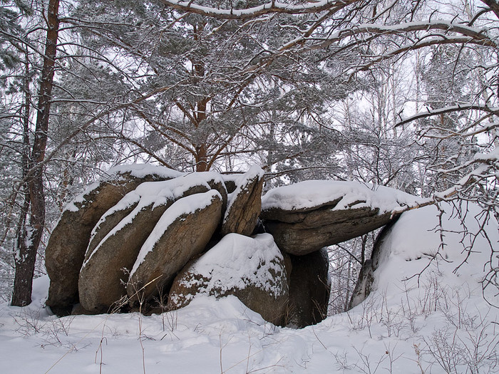 Belokur_Nature_044.jpg