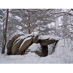 Belokur_Nature_044.jpg