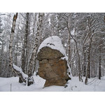 Belokur_Nature_046.jpg