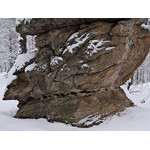 Belokur_Nature_047.jpg