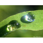 sun_bath