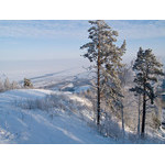 Belokur_Nature_055.jpg