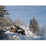 Belokur_Nature_058.jpg