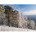Belokur_Nature_059.jpg