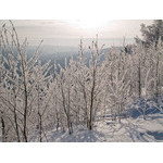 Belokur_Nature_060.jpg