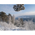 Belokur_Nature_061.jpg