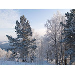 Belokur_Nature_064.jpg