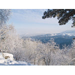 Belokur_Nature_066.jpg