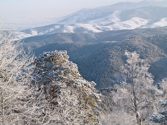 Belokur_Nature_067.jpg