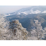 Belokur_Nature_067.jpg