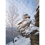 Belokur_Nature_069.jpg