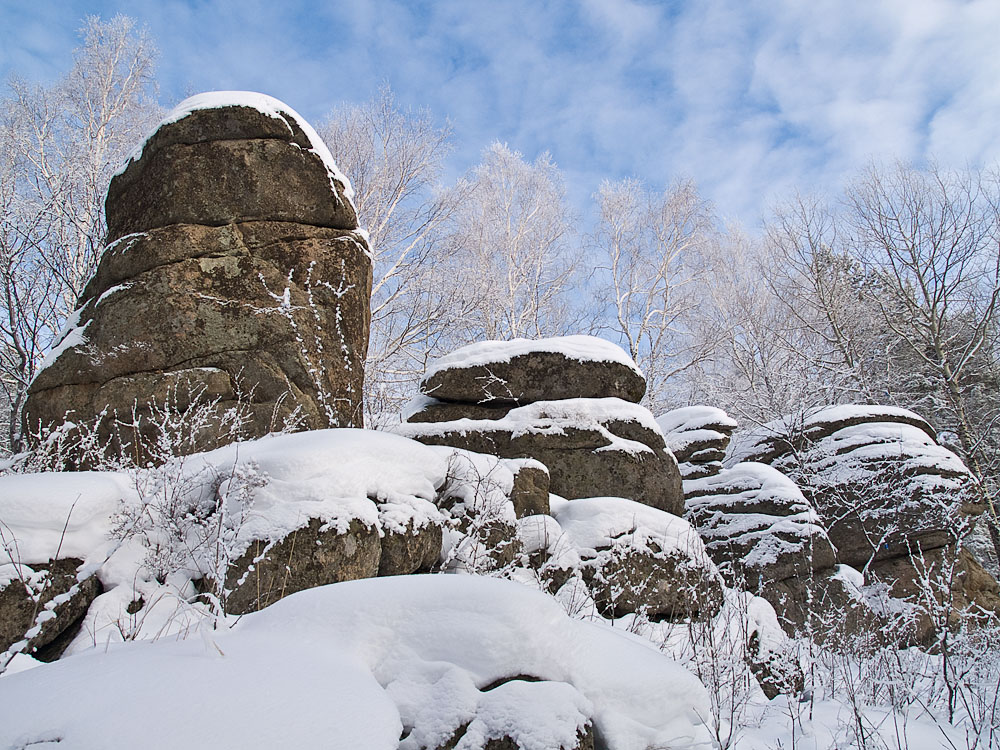 Belokur_Nature_071.jpg