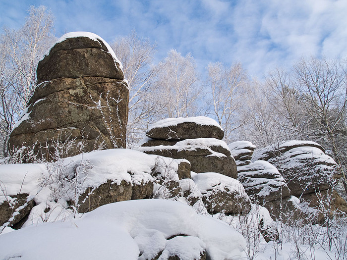 Belokur_Nature_071.jpg