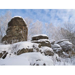 Belokur_Nature_071.jpg