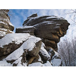 Belokur_Nature_072.jpg