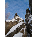 Belokur_Nature_073.jpg