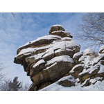 Belokur_Nature_075.jpg