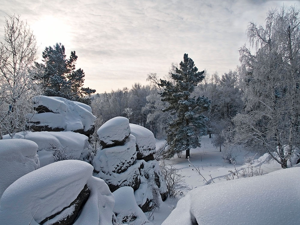 Belokur_Nature_076.jpg