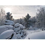Belokur_Nature_076.jpg