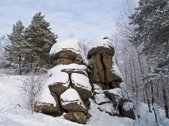 Belokur_Nature_078.jpg