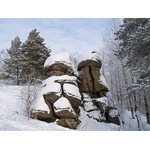 Belokur_Nature_078.jpg