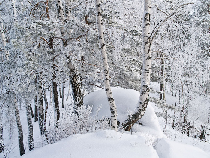 Belokur_Nature_080.jpg