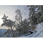 Belokur_Nature_081.jpg