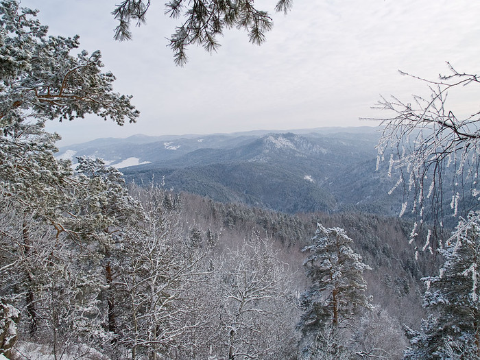 Belokur_Nature_083.jpg