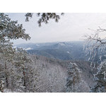 Belokur_Nature_083.jpg