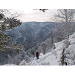 Belokur_Nature_084.jpg