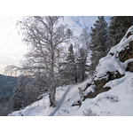 Belokur_Nature_085.jpg