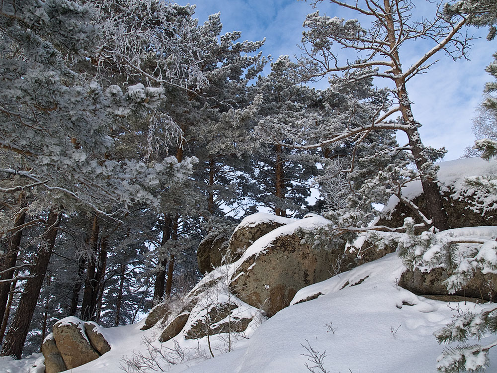 Belokur_Nature_086.jpg