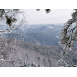 Belokur_Nature_087.jpg