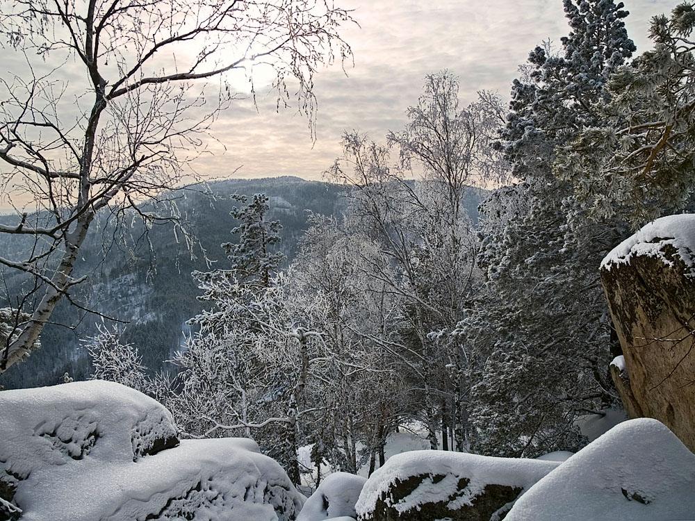 Belokur_Nature_088.jpg