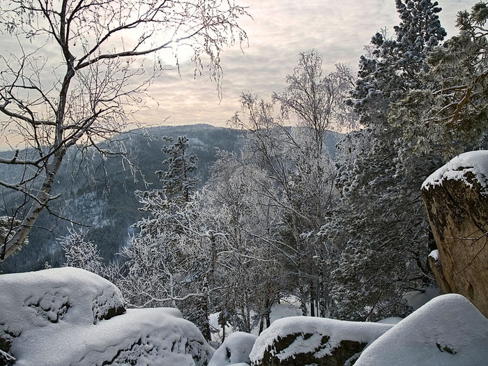 Belokur_Nature_088.jpg