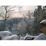 Belokur_Nature_088.jpg