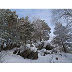 Belokur_Nature_090.jpg