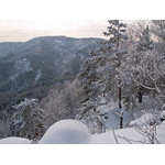Belokur_Nature_092.jpg