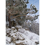 Belokur_Nature_093.jpg