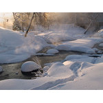 Belokur_Nature_096.jpg