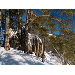Belokur_Nature_100.jpg