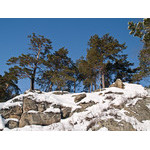 Belokur_Nature_102.jpg
