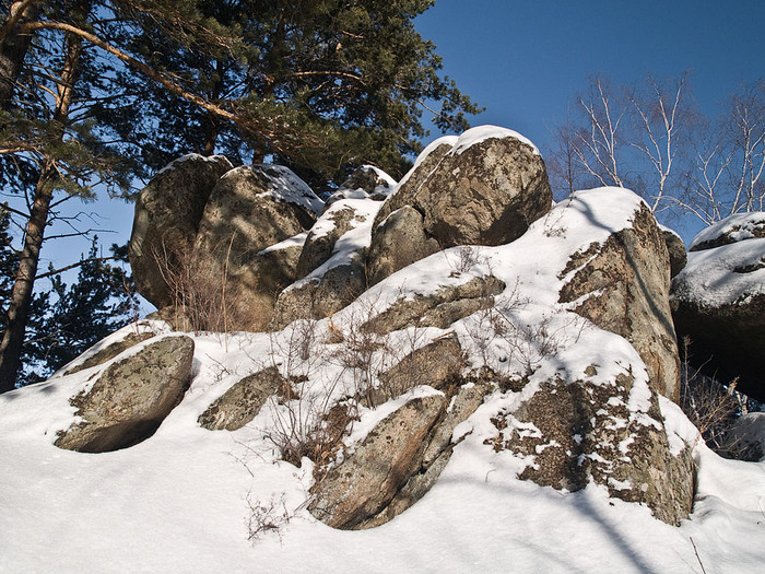 Belokur_Nature_103.jpg