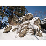 Belokur_Nature_103.jpg