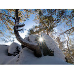Belokur_Nature_104.jpg